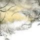 Illustration for article titled Luis Royos Shining Artwork for George R.R. Martins emThe Ice Dragon/em
